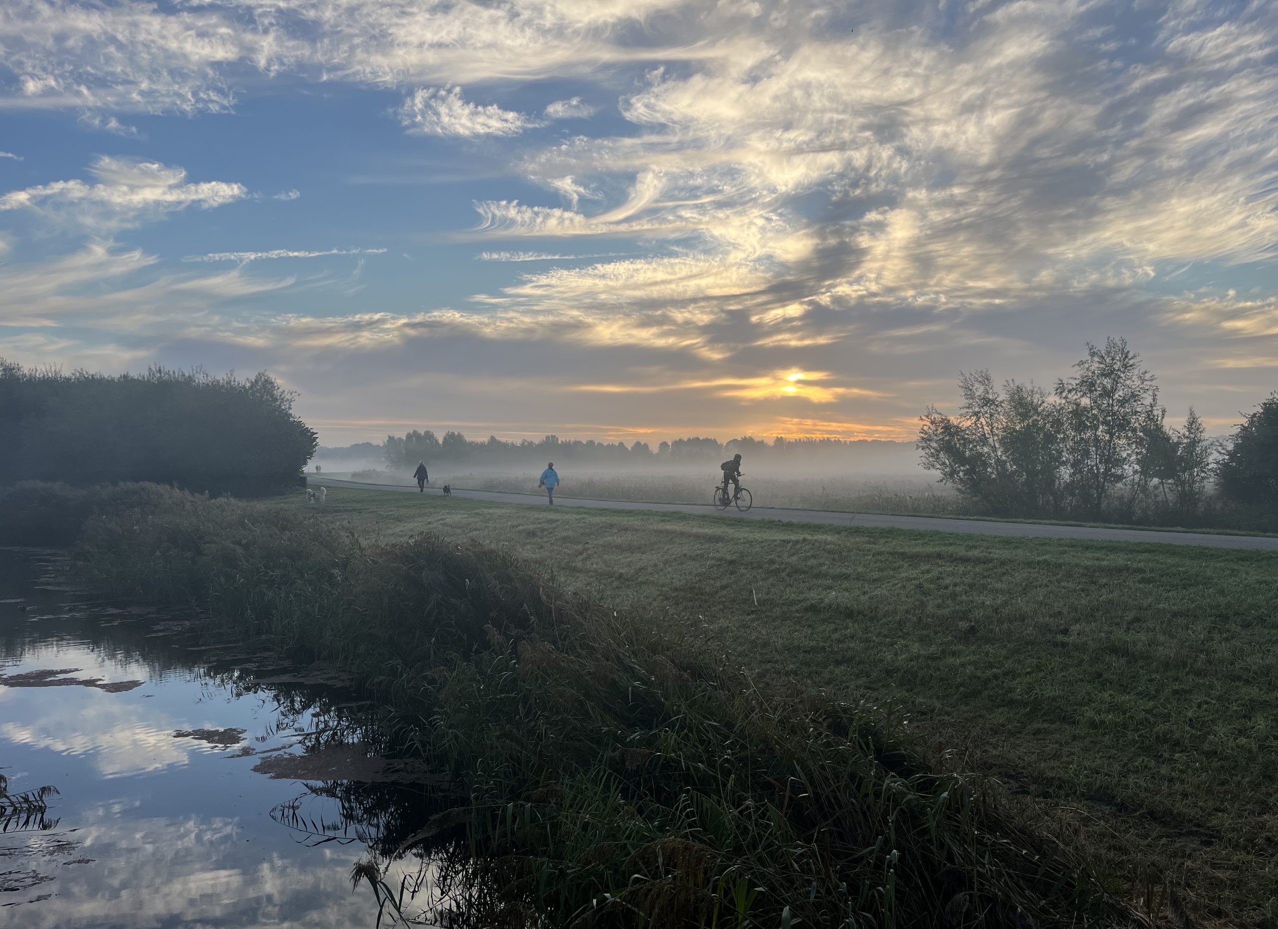 (c) Barendrecht.nl