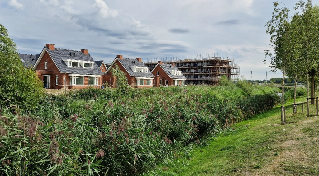 Foto: Aanzicht plan ‘Rosa’ vanaf Helenapolder